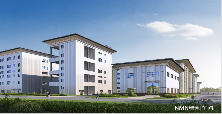 海文生物廠房二期NMN精致車(chē)間